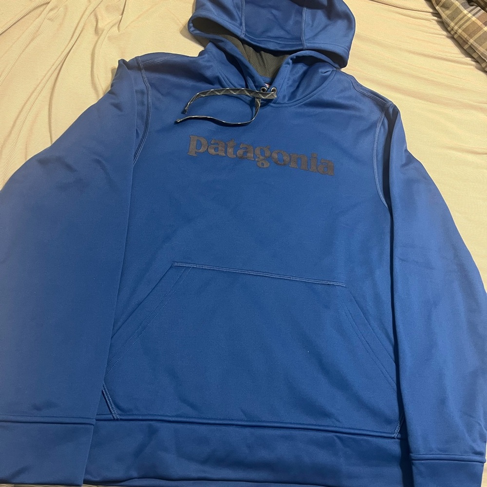 Patagonia Men's Royal Blue Hoodie